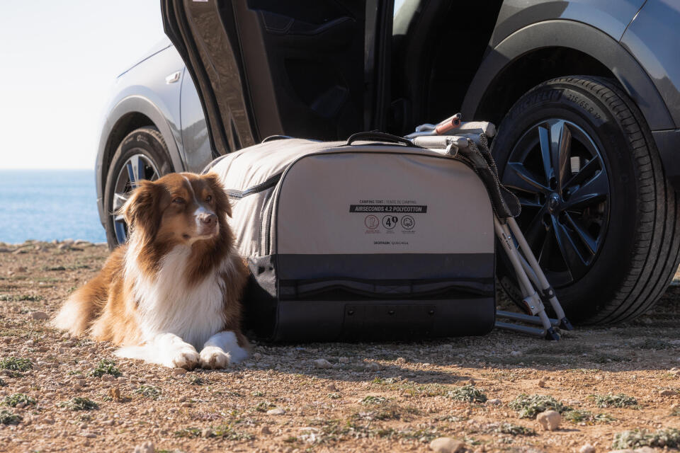 寒さ対策必須!冬キャンプを存分に楽しむための注意点&おすすめアイテムを伝授