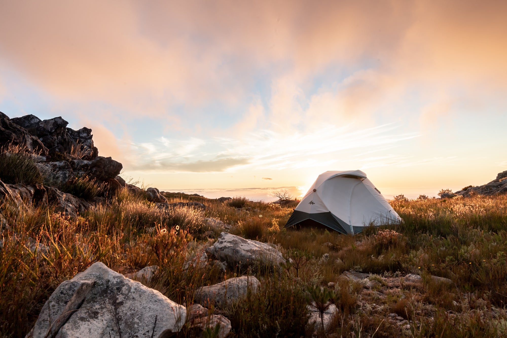 【体験レビュー】キャンプ初心者必見最新ワンタッチテント!2秒で組み立て可能ってホント?!
