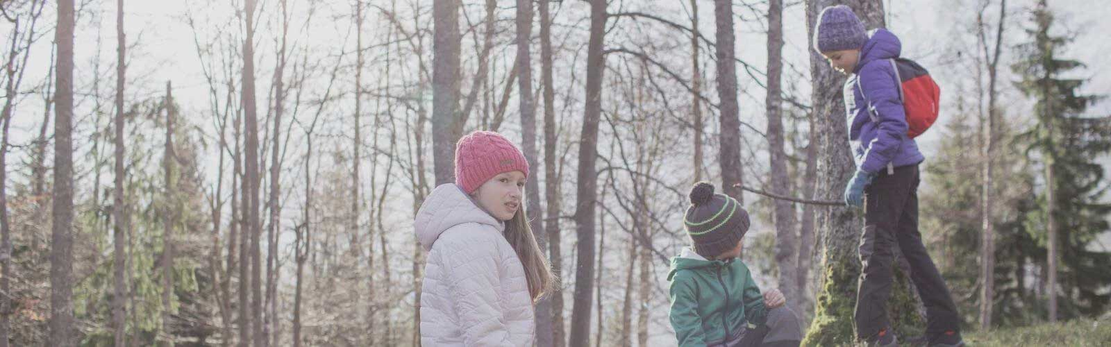 セーリング・ヨット