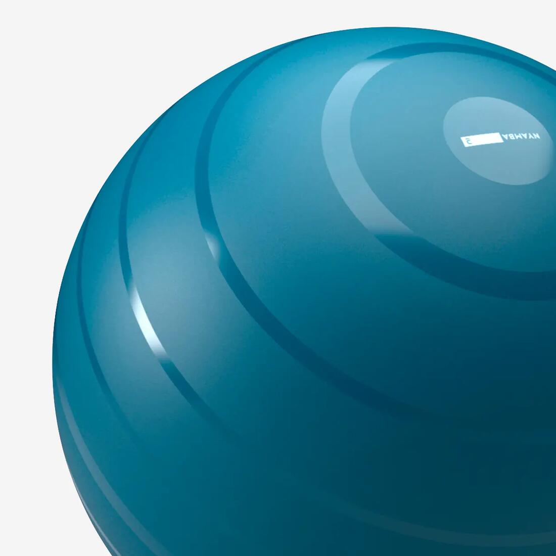 NYAMBA(ナヤンバ) フィットネス バランスボール Mサイズ