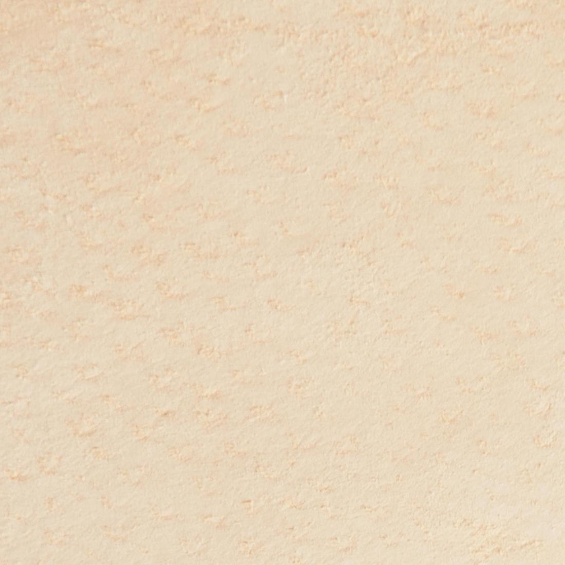 APTONIA(アプトニア) シューズ レザー インソール Walk100