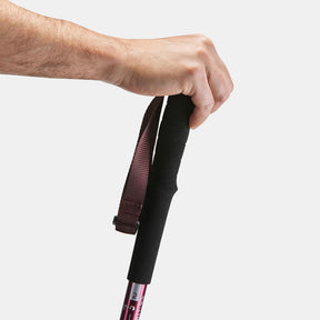 FORCLAZ（フォルクラ）登山・トレッキング トレッキングポール I型 ピンロックタイプ A 100 - 1本