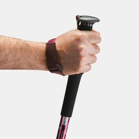 FORCLAZ（フォルクラ）登山・トレッキング トレッキングポール I型 ピンロックタイプ A 100 - 1本