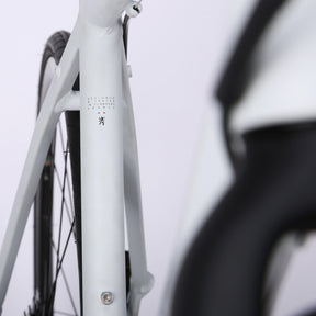 VANRYSEL (ヴァンリーゼル) サイクリング ロードバイク 120 DISC 大人用
