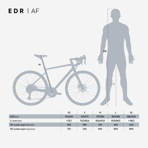 VANRYSEL (ヴァンリーゼル) ロードバイク EDR AF CLARIS