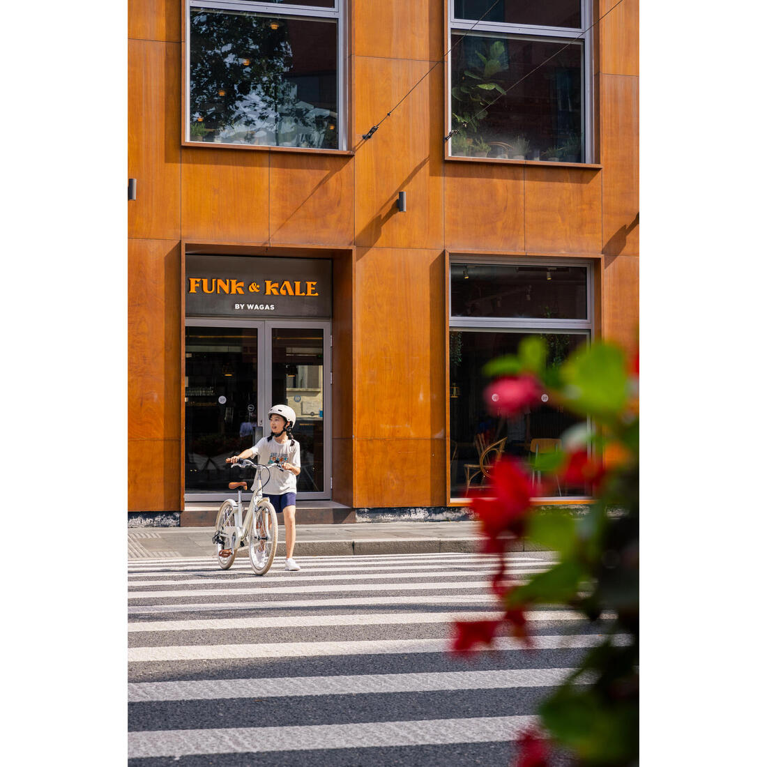 ELOPS (イロップス) 24インチ ELOPS 500 CN