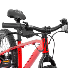B'TWIN(ビトウィン) サイクリング 自転車 20インチ ST900 RIGID キッズ (6～9歳用)